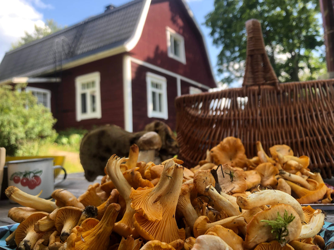 Syksy tulee, oletko valmis?