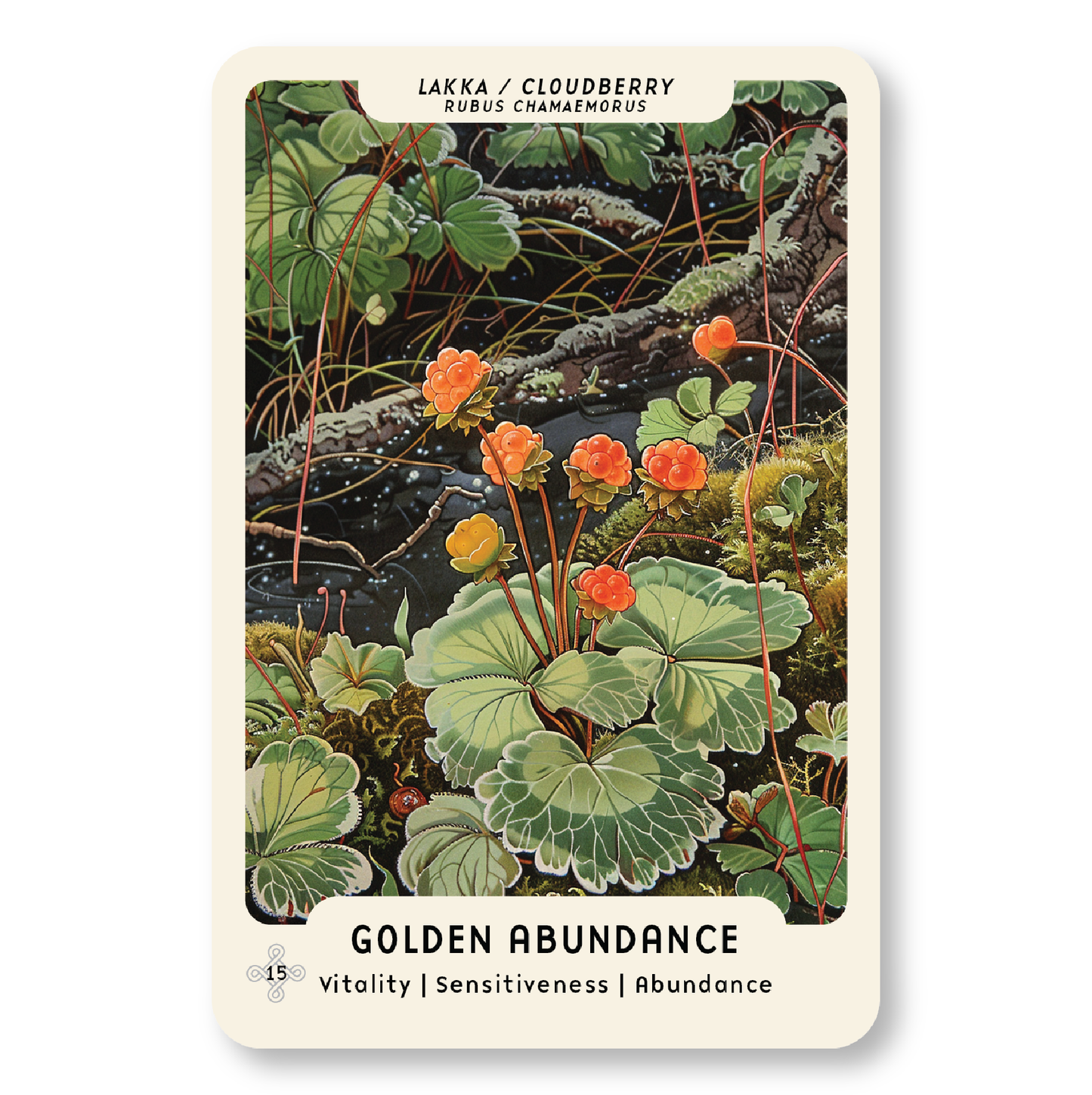 Nordic Forest Rituals Oracle Cards - inspiroivat suomalaiset rituaalikortit