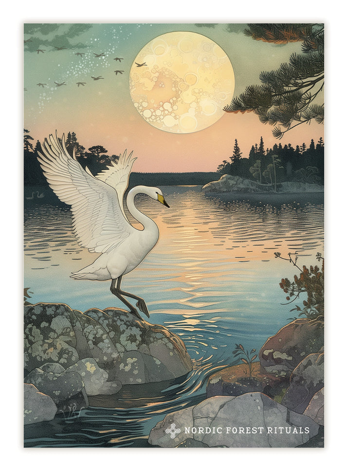 Nordic Forest Rituals postcards