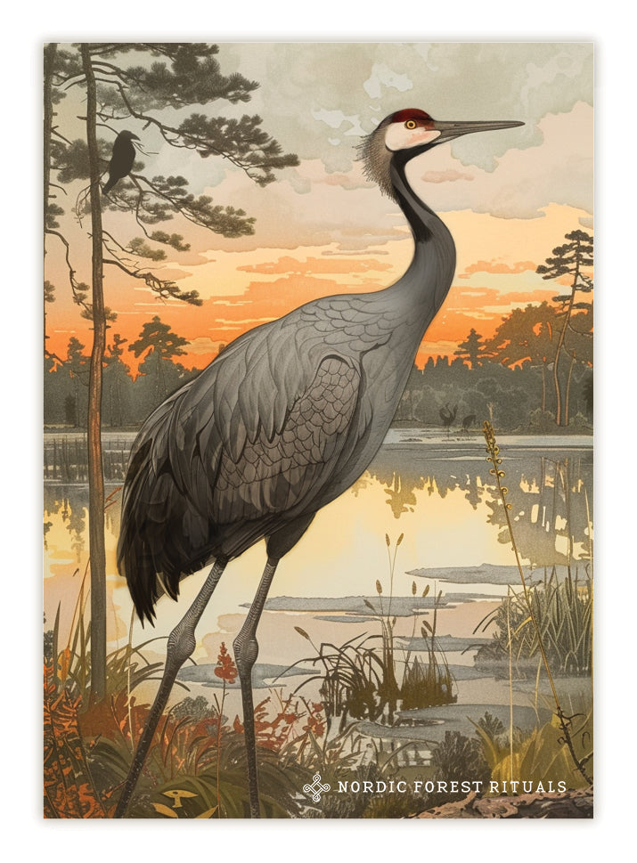 Nordic Forest Rituals postcards