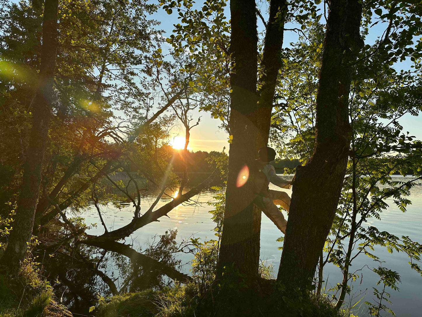 Metsäkylpy ⌘ Guided Forest Bathing