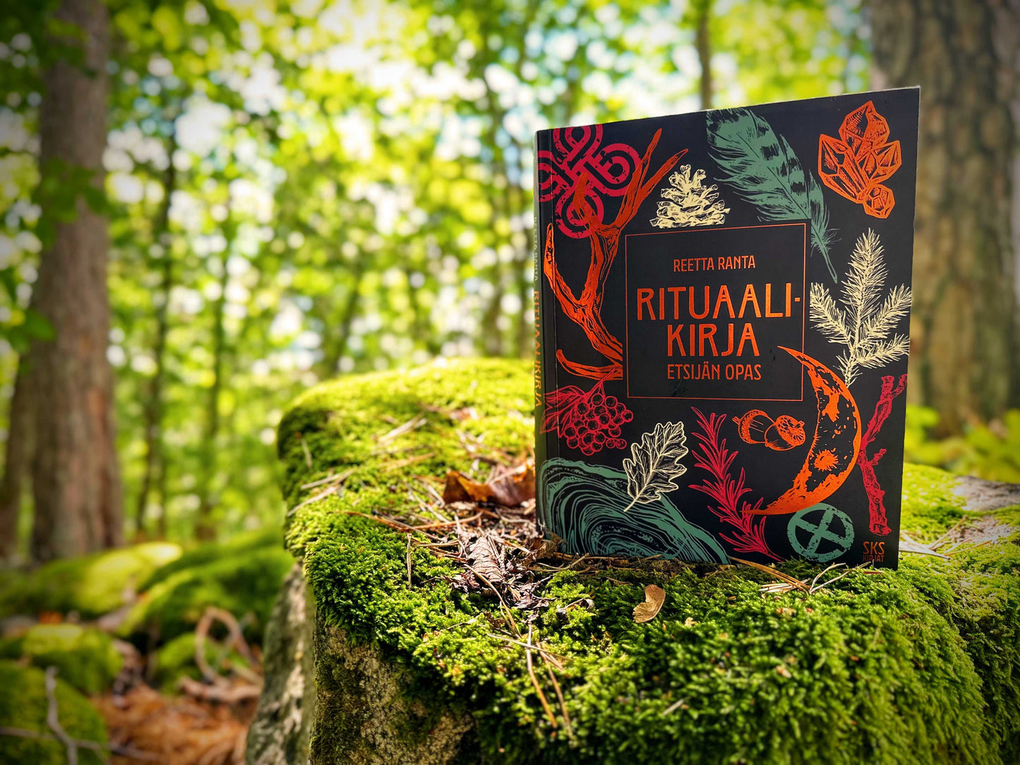 Metsäkylpy ⌘ Guided Forest Bathing