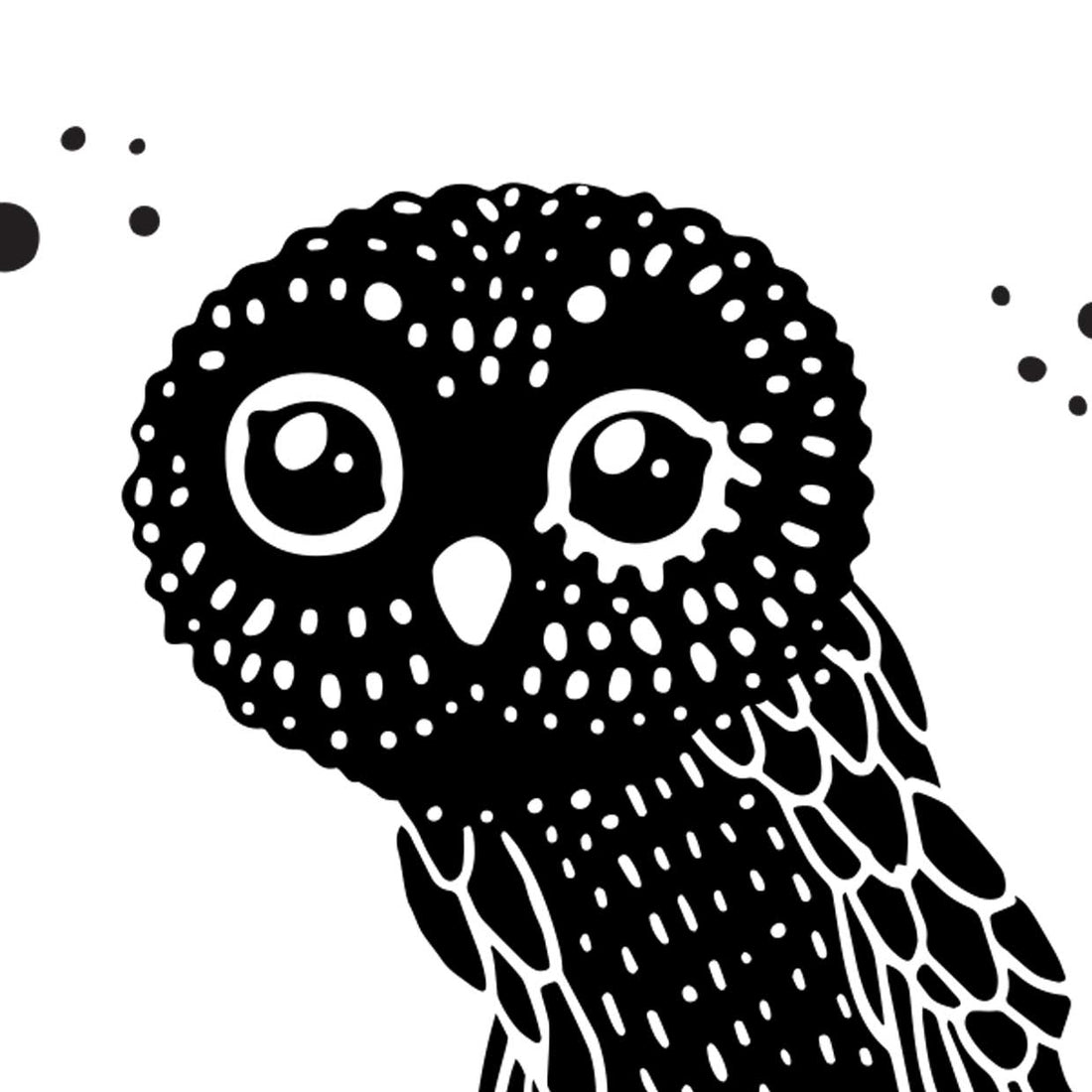 Pöllö | Owl | Strigidae