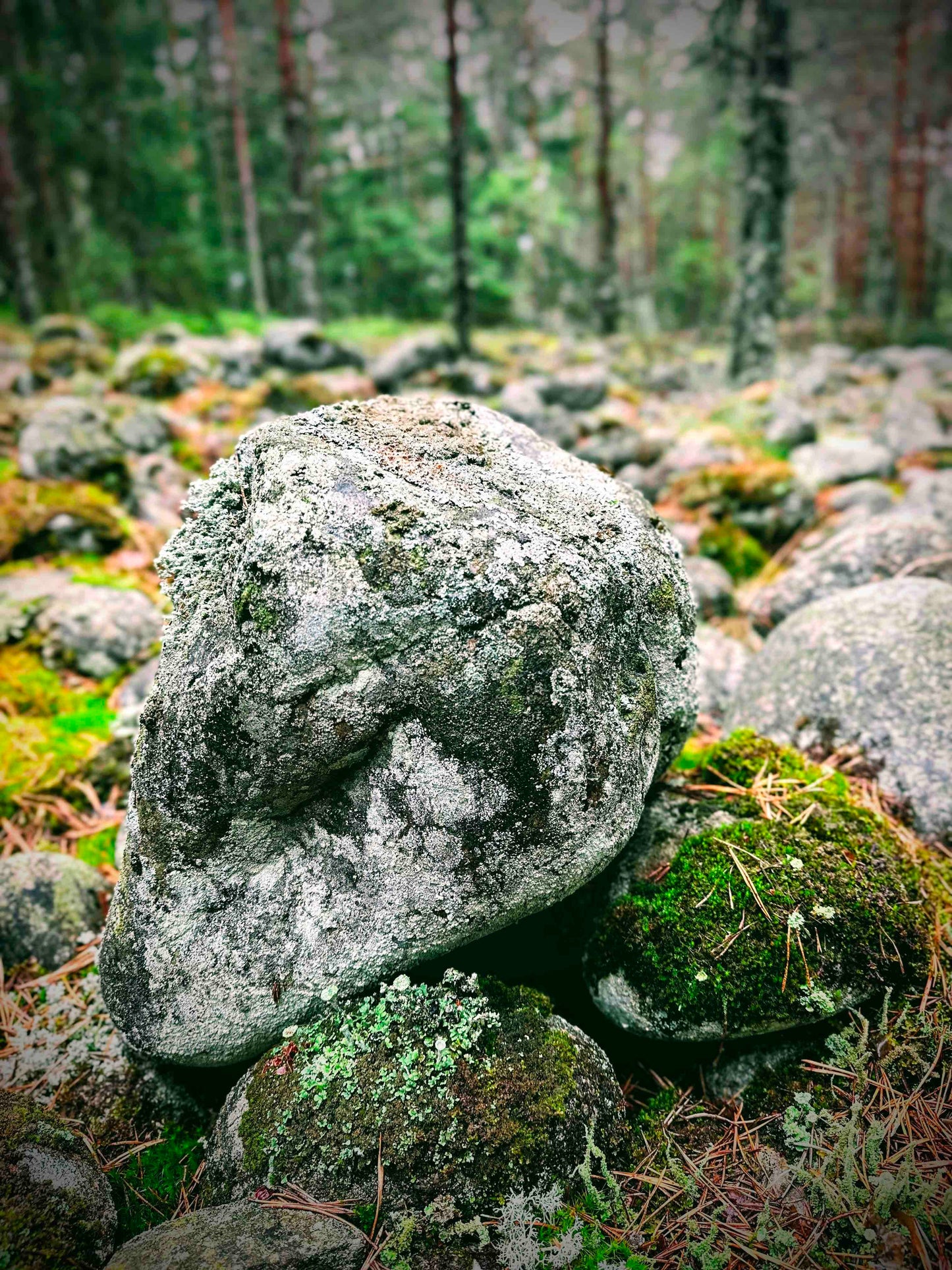 Metsäkylpy, tarinavaellus ja luontorituaali