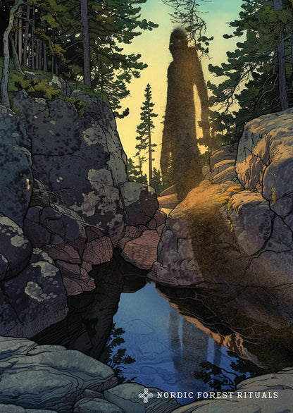 Nordic Forest Rituals postcards