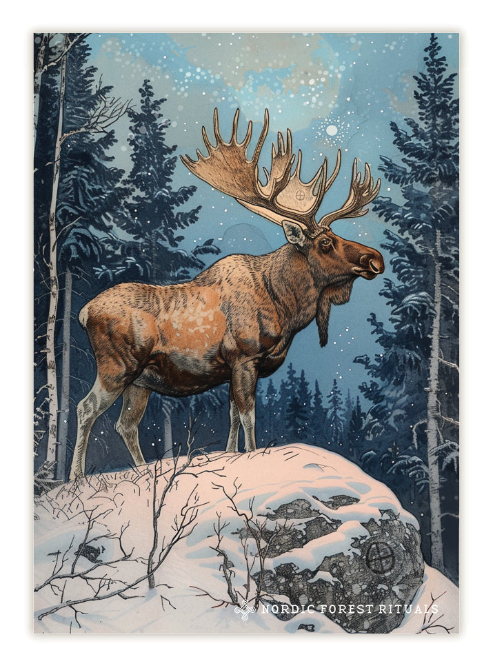 Nordic Forest Rituals 14 postcards set