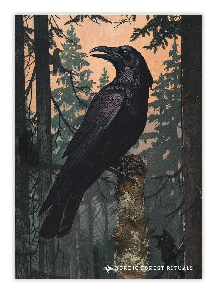 Nordic Forest Rituals 14 postcards set