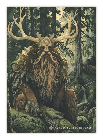 Nordic Forest Rituals 14 postcards set