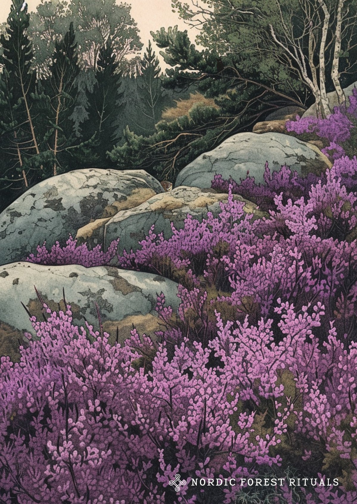Nordic Forest Rituals postcards