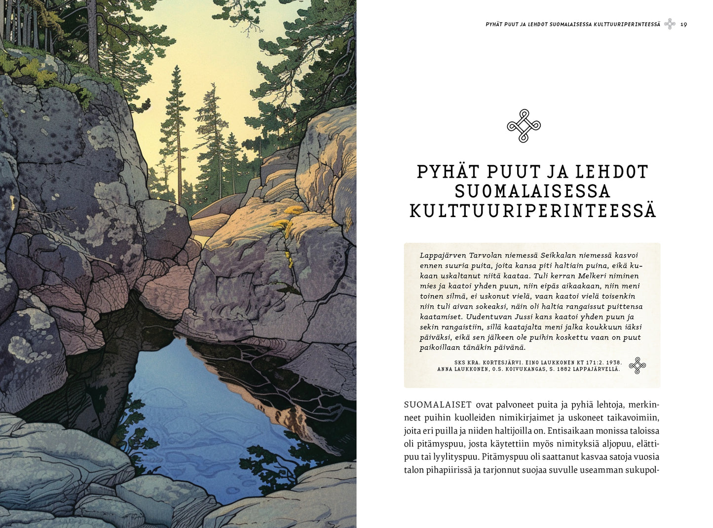 Paketti: Pyhät puut kirja ja -postikortit