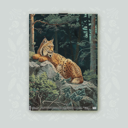 Juliste A3 ⌘ Nordic Forest Rituals