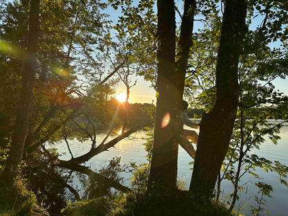 Metsäkylpy, tarinavaellus ja luontorituaali