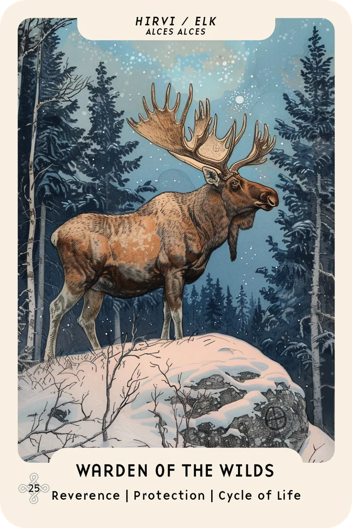 Elk oracle card: a bull elk stands on a snowy rock under a starry sky