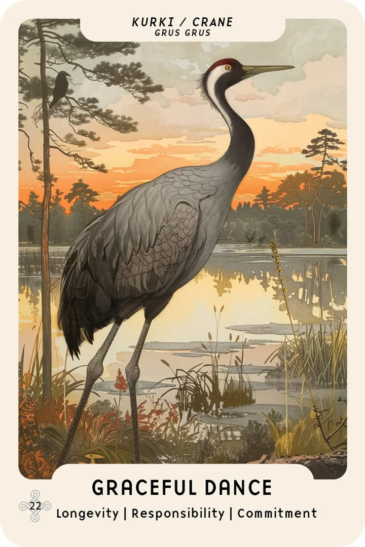 Crane oracle card: a common crane stands by a lake at sunset