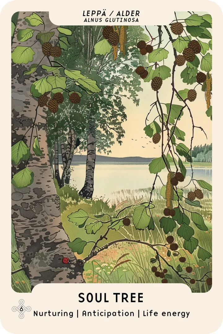 Alder oracle card: alder branches and cones by a lake, a ladybug on the trunk