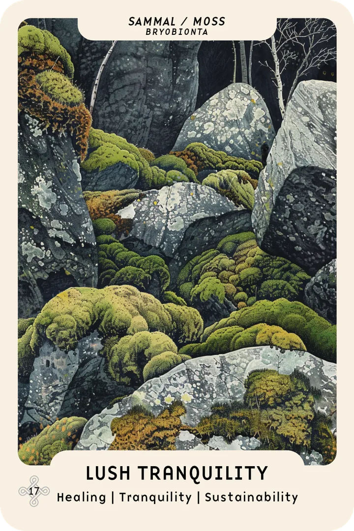 Moss oracle card: moss-covered boulders and rocks in the forest